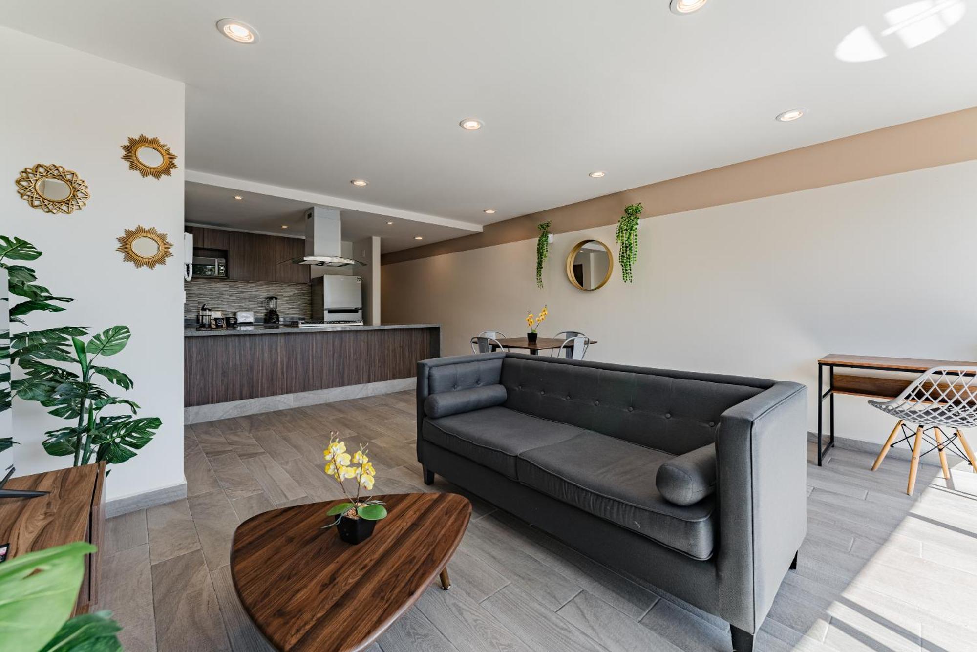 Roma Sur Apartments By Vh Meksika Dış mekan fotoğraf